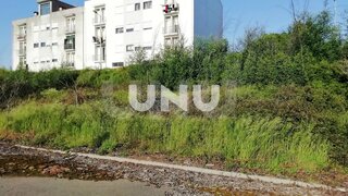 Land for sale in Santa Comba Dão, Portugal — €70,000