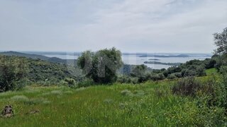 Land for sale in Reguengos de Monsaraz, Portugal — €54,000
