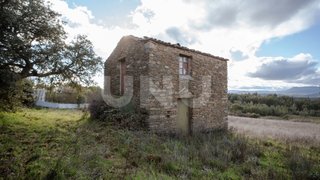 Terreno de 3720 m² em Castelo Branco