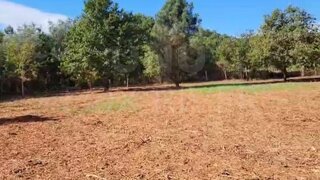 Land for sale in Valença, Portugal — €9,000