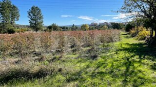 Land for sale in Covilhã, Portugal — €99,500