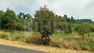 Terreno de 760 m² em Viseu