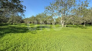 Land for sale in Loulé, Portugal — €55,000