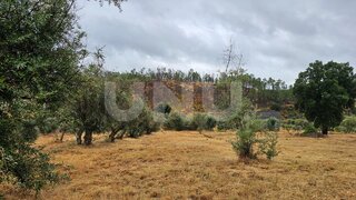 Terreno em Castelo Branco · 600 m² · 3200 €