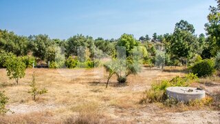 Land for sale in Fundão, Portugal — €75,000