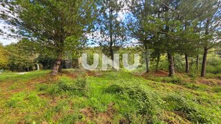 Terreno de 38 220 m² em Viseu