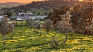 Terreno em Portalegre