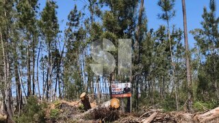 Land for sale in Ourém, Portugal — €48,000