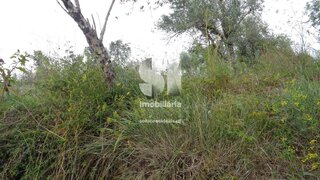 Land for sale in Lousã, Portugal — €36,000