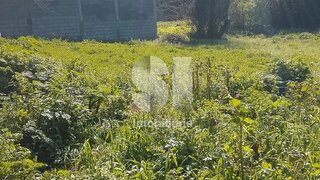 Land for sale in Condeixa-a-Nova, Portugal — €40,000