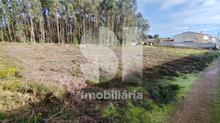 Land for sale in Anadia, Portugal — €42,000