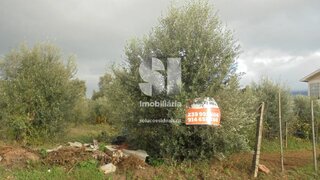 Land for sale in Lousã, Portugal — €28,500
