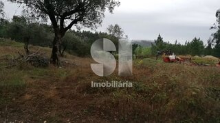 Land for sale in Condeixa-a-Nova, Portugal — €55,000