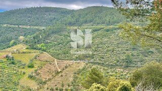 Land for sale in Sabrosa, Portugal — €45,000