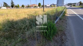 Land for sale in Anadia, Portugal — €150,000
