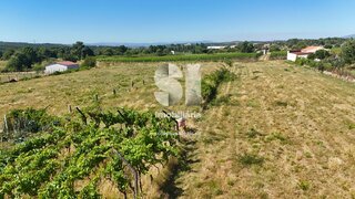 Terreno para venda em Sabrosa, Portugal — 50 000 €