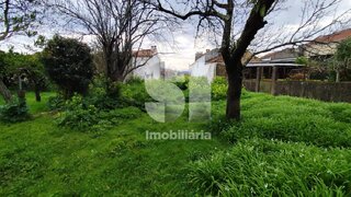 Land for sale in Anadia, Portugal — €39,000