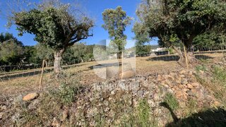 Land for sale in Arganil, Portugal — €135,000