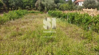 Land for sale in Penacova, Portugal — €15,000