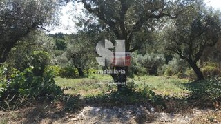 Land for sale in Vila Nova de Poiares, Portugal — €19,750