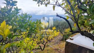 Land for sale in Vila Real, Portugal — €52,000