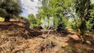 Terreno em Mealhada