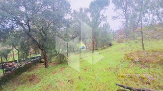 Terreno para venda em Tondela, Portugal — 18 000 €