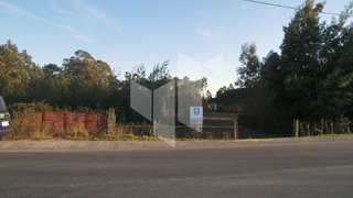 Land for sale in Carregal do Sal, Portugal — €65,000