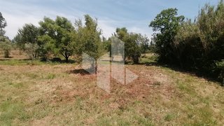 Land for sale in Tondela, Portugal — €40,000