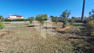 Land for sale in Tondela, Portugal — €60,000