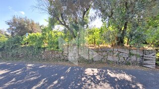Land for sale in Tondela, Portugal — €30,000