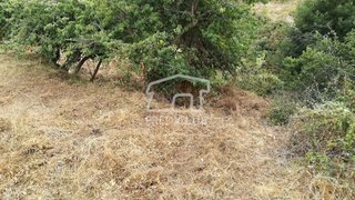 Land for sale in Santa Cruz, Portugal — €55,000