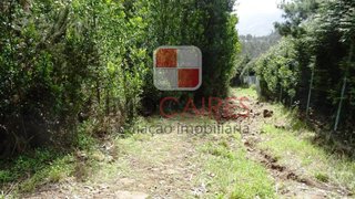 Land for sale in Câmara de Lobos, Portugal — €342,000