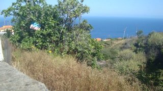 Land for sale in Santa Cruz, Portugal — €55,000