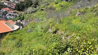 Land for sale in Câmara de Lobos, Portugal — €35,000
