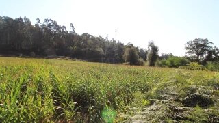 Terreno em Esposende