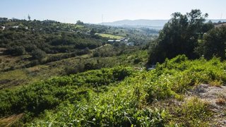 Terreno · 2000 m² · 22 000 €