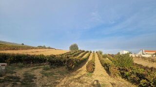 Terreno para venda em Alenquer, Portugal — 23 900 €