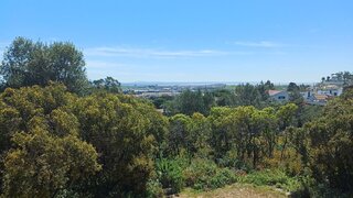 Land for sale in Sintra, Portugal — €3,975,000