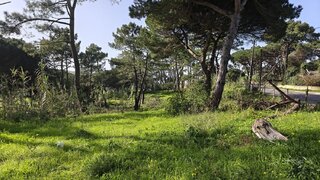 Land for sale in Sintra, Portugal — €1,500,000
