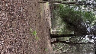 Land for sale in Sintra, Portugal — €70,000