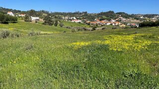 Land for sale in Azambuja, Portugal — €70,000