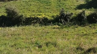 Land for sale in Cadaval, Portugal — €37,500