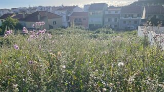 Land for sale in Sintra, Portugal — €179,000