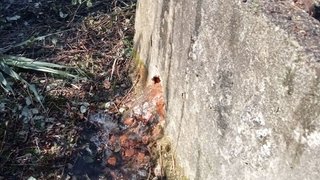Terreno em Azambuja · 15 000 m² · 40 000 €