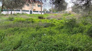 Land for sale in Cascais, Portugal — €800,000