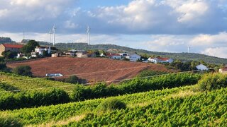Terreno para venda em Torres Vedras, Portugal — 1 150 000 €