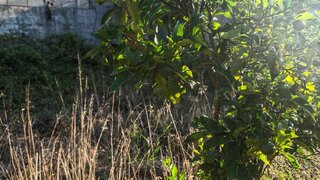 Terreno para venda em Sintra, Portugal — 90 000 €