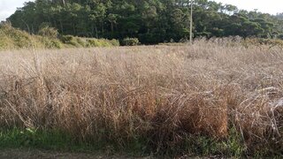 Land for sale in Mafra, Portugal — €10,000