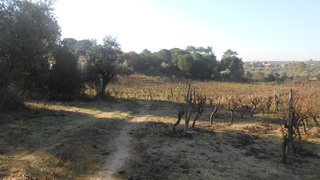 Land for sale in Torres Novas, Portugal — €15,000